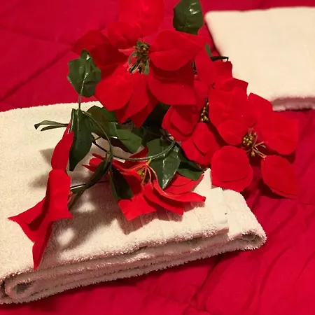 Appartamento Admiral Center *